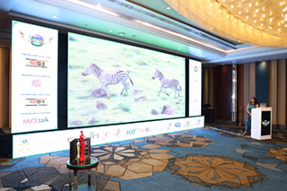 Day 1 - Presentation Day